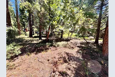 7083 5th Avenue, Tahoma, CA 94142 - Photo 6