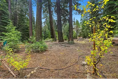 7112 10th Avenue, Tahoma, CA 96142 - Photo 28