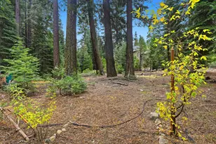 7112 10th Ave, Tahoma, CA 96142 - Photo 28