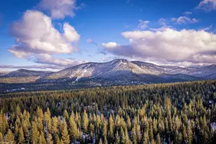 4065 Coyote Fork, Truckee, CA 96161 - Photo 24