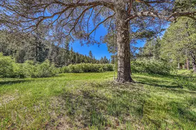 8520 River Road, Truckee, CA 96161 - Photo 24