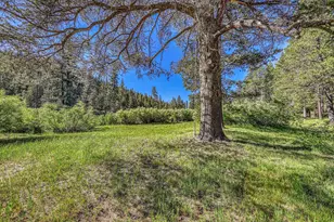 8520 River Rd, Truckee, CA 96161 - Photo 24