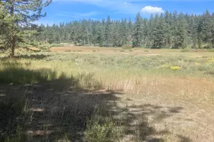 3101 Lake Forest Rd, Tahoe City, CA 96145 - Photo 4
