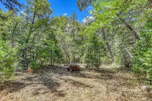 100 Carrier Cir, Sierra City, CA 96125 - Photo 20