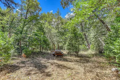 100 Carrier Circle, Sierra City, CA 96125 - Photo 20