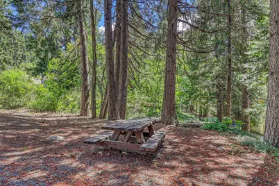 100 Carrier Circle, Sierra City, CA 96125 - Photo 6