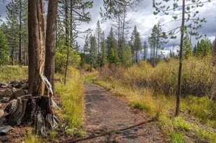 12798 Northwoods Blvd, Truckee, CA 96161 - Photo 4