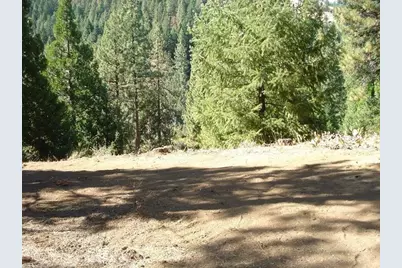 357 Big Grizzly, Portola, CA 96122 - Photo 8