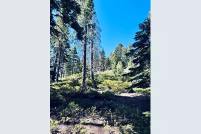 8974 Woodland Drive, Meeks Bay, CA 96142 - Photo 4