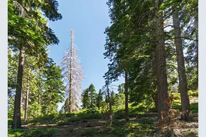 8974 Woodland Drive, Meeks Bay, CA 96142 - Photo 10