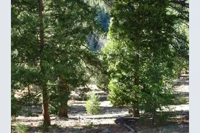 369 Big Grizzly Road, Portola, CA 96122 - Photo 2