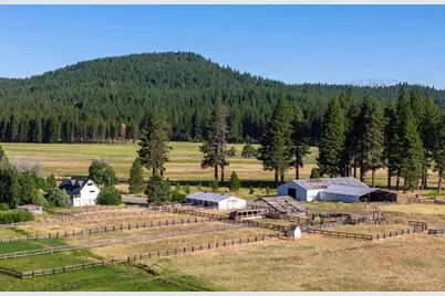 22440 State Highway 89, Calpine, CA 96124 - Photo 16