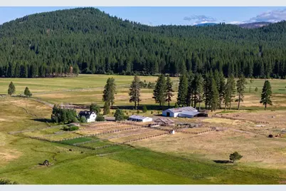 22440 State Highway 89, Calpine, CA 96124 - Photo 4