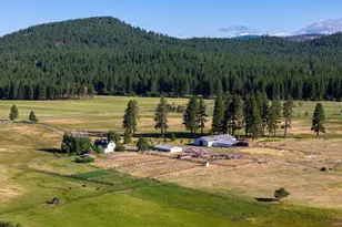22440 State Hwy 89, Calpine, CA 96124 - Photo 4
