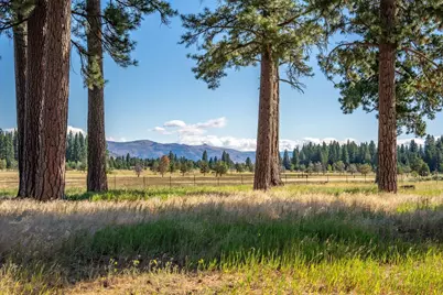 22440 State Highway 89, Calpine, CA 96124 - Photo 10