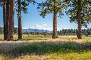 22440 State Hwy 89, Calpine, CA 96124 - Photo 10