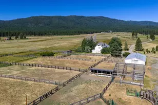 22440 State Hwy 89, Calpine, CA 96124 - Photo 12