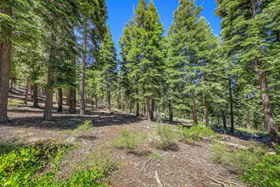 2620 Mill Site Road, Truckee, CA 96161 - Photo 10