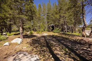 21674 Donner Pass Rd, Soda Springs, CA 95728 - Photo 1