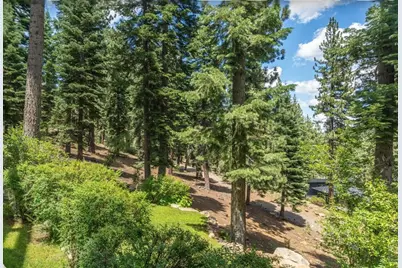 2209 Silver Fox Court, Truckee, CA 96161 - Photo 4