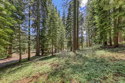 202 Hidden Lake Loop, Olympic Valley, CA 96146 - Photo 6