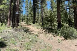 019-080-028-0 Groundhog Rock, Sierraville, CA 96125 - Photo 2