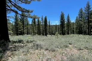 019-080-028-0 Groundhog Rock, Sierraville, CA 96125 - Photo 1
