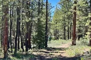 019-080-028-0 Groundhog Rock, Sierraville, CA 96125 - Photo 12