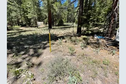 019-080-028-0 Groundhog Rock, Sierraville, CA 96125 - Photo 4