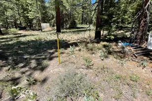 019-080-028-0 Groundhog Rock, Sierraville, CA 96125 - Photo 4