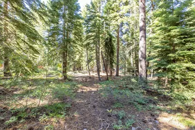 335 Pineland Drive, Tahoe City, CA 96145 - Photo 22