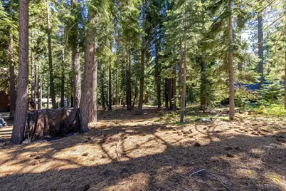 335 Pineland Drive, Tahoe City, CA 96145 - Photo 20
