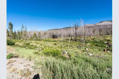19878 Highway 50, Twin Bridges, CA 95735 - Photo 4