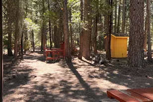 1001 Pinion Pine Trail, Blairsden, CA 96103 - Photo 4