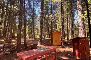 1001 Pinion Pine Trail, Blairsden, CA 96103 - Photo 10