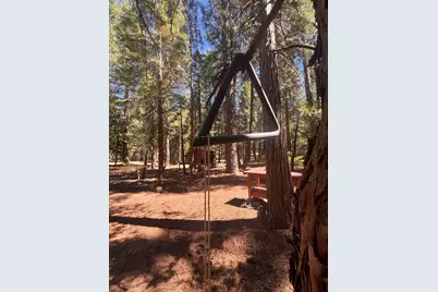 1001 Pinion Pine Trail, Blairsden, CA 96103 - Photo 6