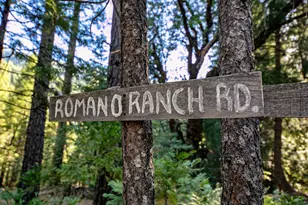 800 Romano Ranch Rd, Sierra City, CA 96125 - Photo 2