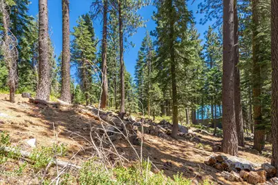 51311 Jeffery Pine Drive, Soda Springs, CA 95728 - Photo 8