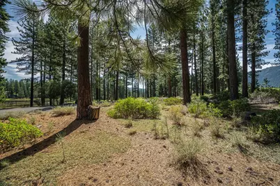 801 Joseph Gray, Truckee, CA 96161 - Photo 2