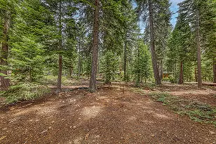 5668 Dakar Rd, Carnelian Bay, CA 96140 - Photo 4