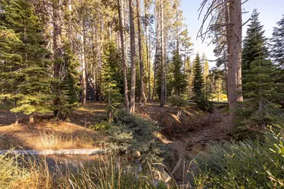 50741 Conifer Drive, Soda Springs, CA 95728 - Photo 6