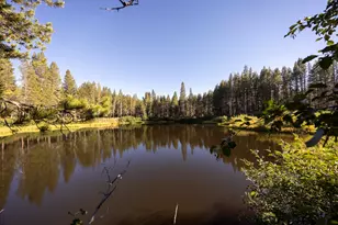 50741 Conifer Dr, Soda Springs, CA 95728 - Photo 1
