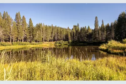 50741 Conifer Drive, Soda Springs, CA 95728 - Photo 2