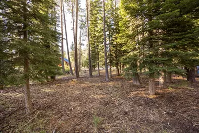 50741 Conifer Drive, Soda Springs, CA 95728 - Photo 10