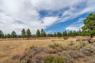 15880 Wellington Way, Truckee, CA 96161 - Photo 16