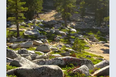 213 John Keiser, Truckee, CA 96161 - Photo 20