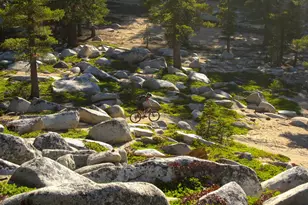 213 John Keiser, Truckee, CA 96161 - Photo 20