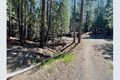 955 Shady Lane, Clio, CA 96106 - Photo 2
