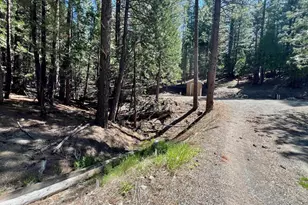 955 Shady Ln, Clio, CA 96106 - Photo 2