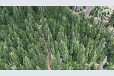 19372 Marsh Mill Road, Nevada City, CA 95959 - Photo 8